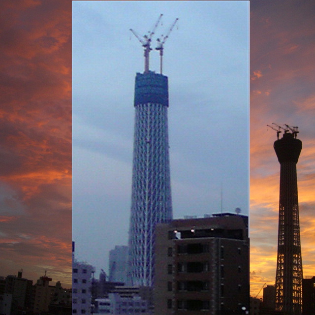 写真の説明を入れます