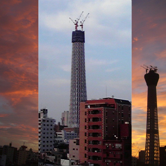 写真の説明を入れます