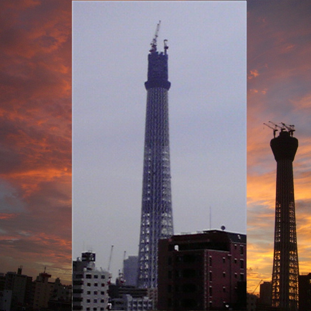 写真の説明を入れます